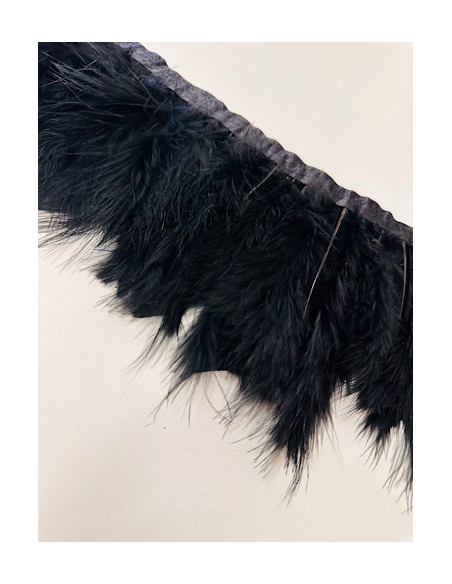 Plumas