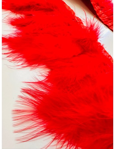 Plumas