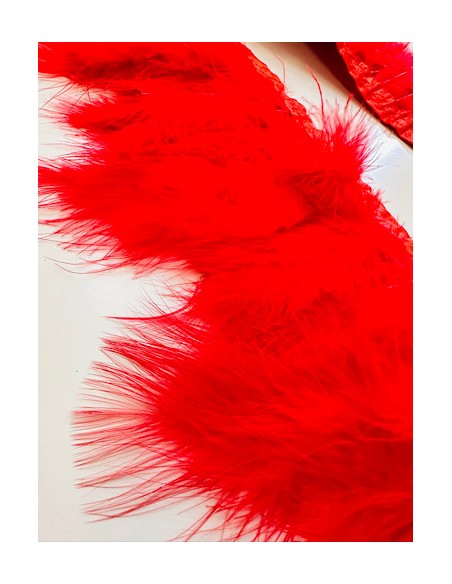 Plumas