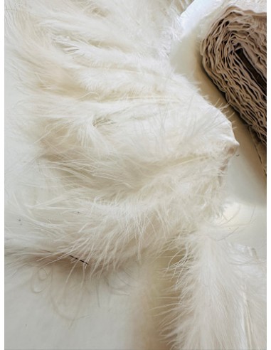 Plumas