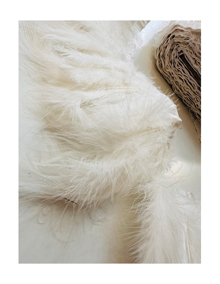 Plumas