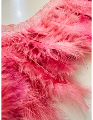 Plumas