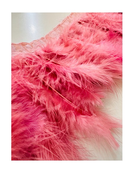 Plumas