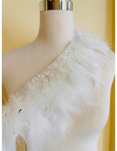 Plumas