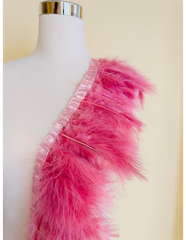 Plumas