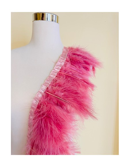 Plumas