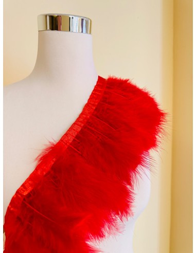 Plumas