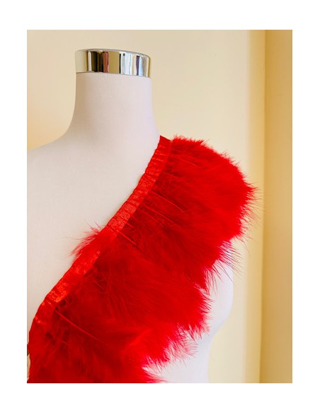 Plumas