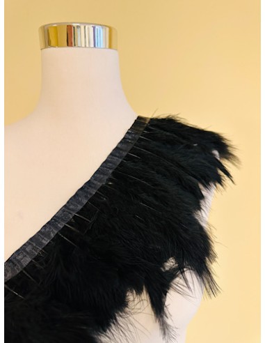 Plumas