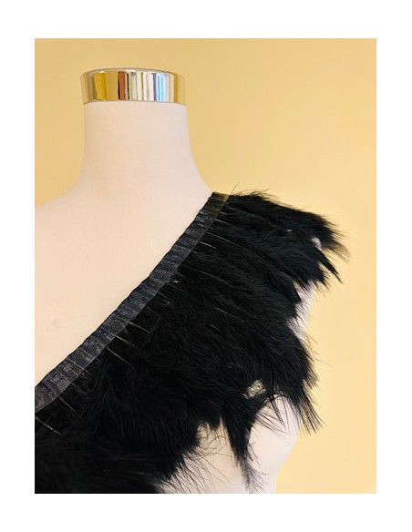 Plumas
